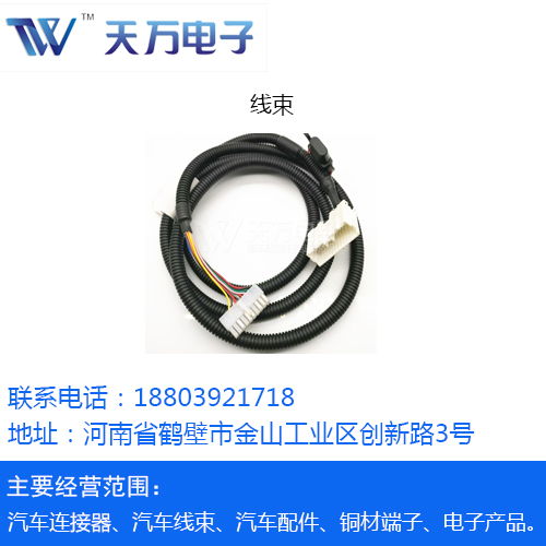 专业汽车接插件